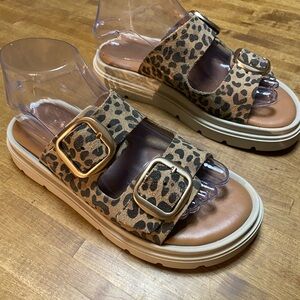 Leopard Print Sandals with Gold Buckles 8